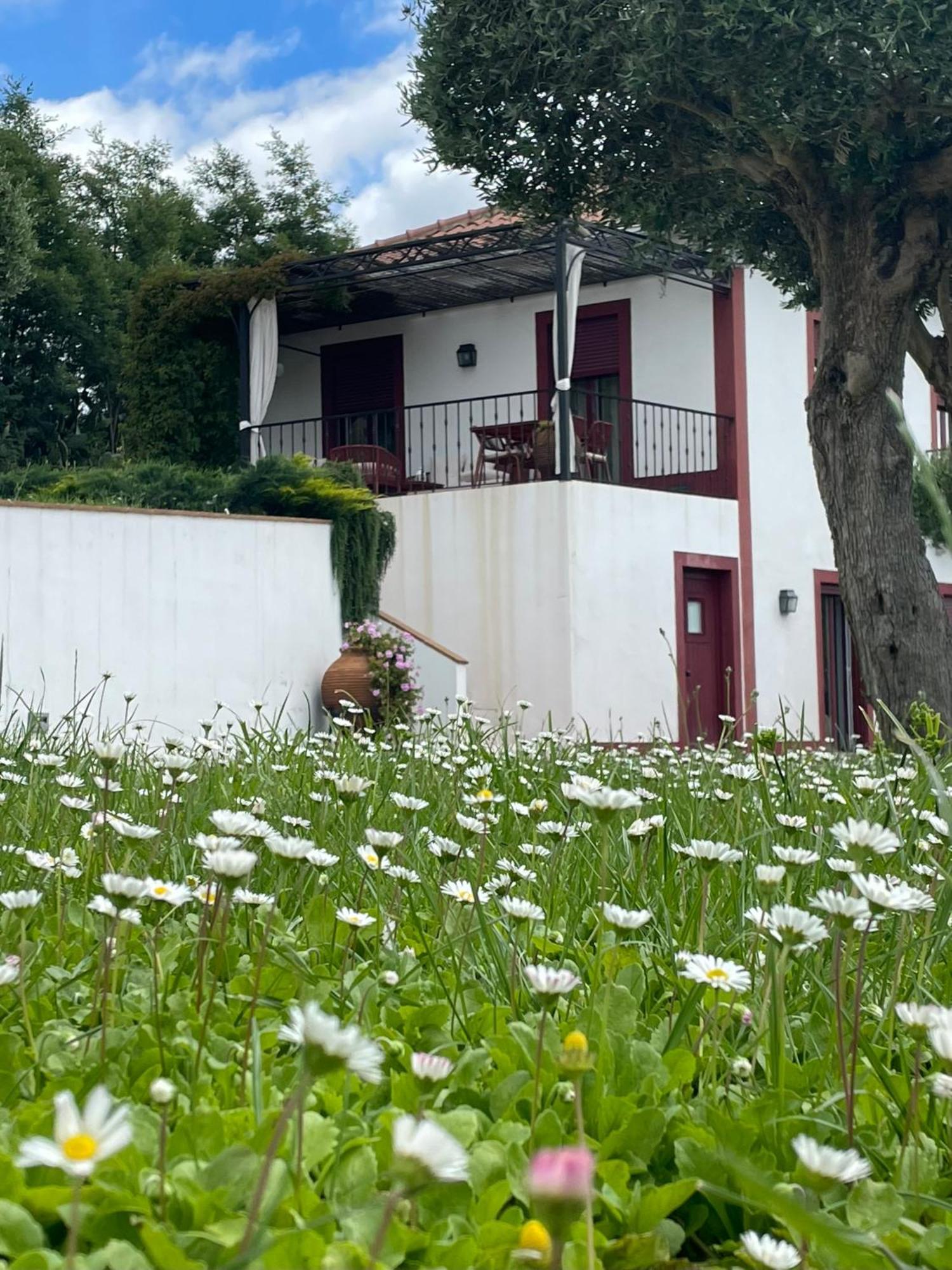 Quinta Da Asneira Apartment Монтемор-о-Ново Екстериор снимка