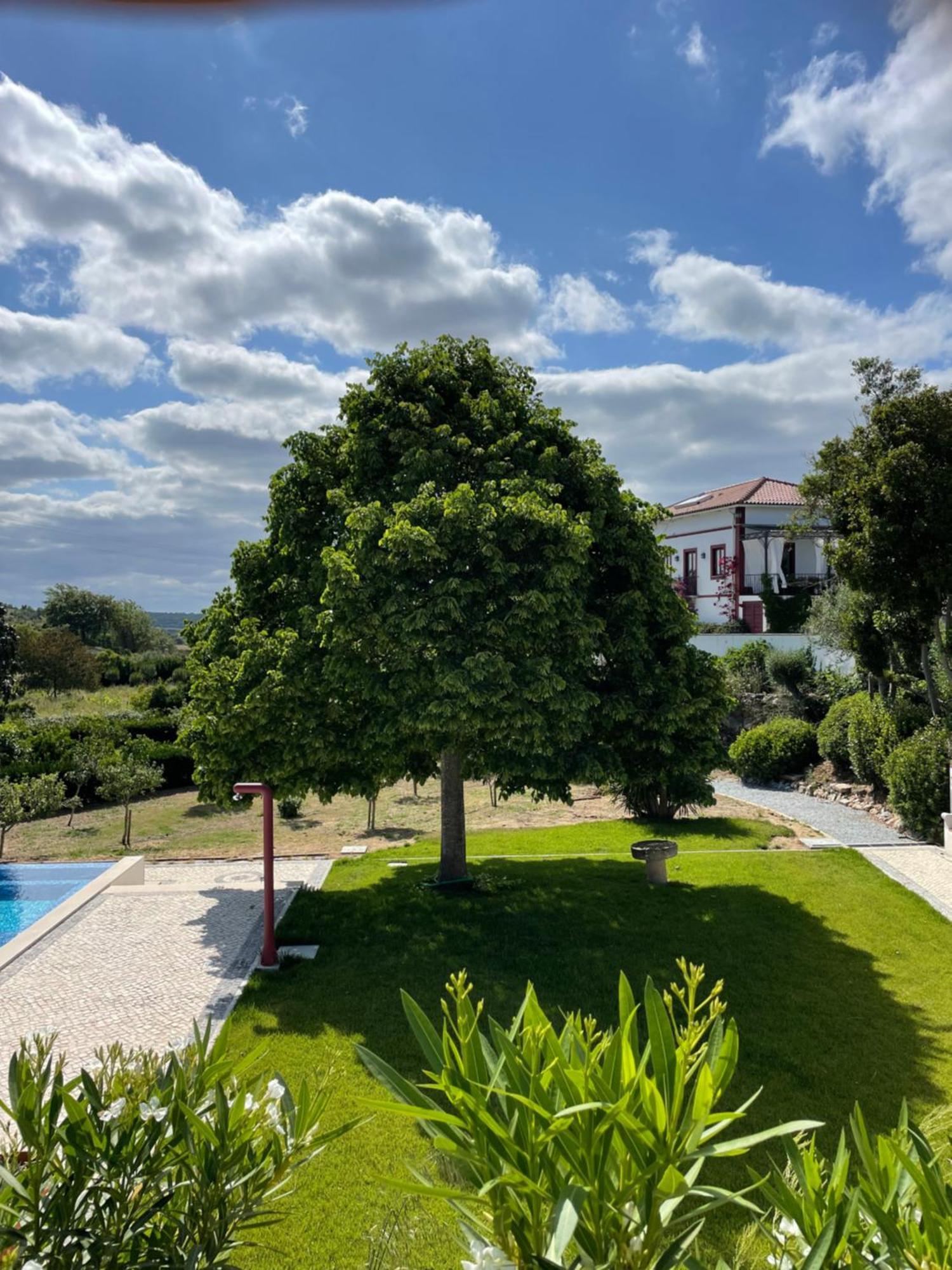 Quinta Da Asneira Apartment Монтемор-о-Ново Екстериор снимка